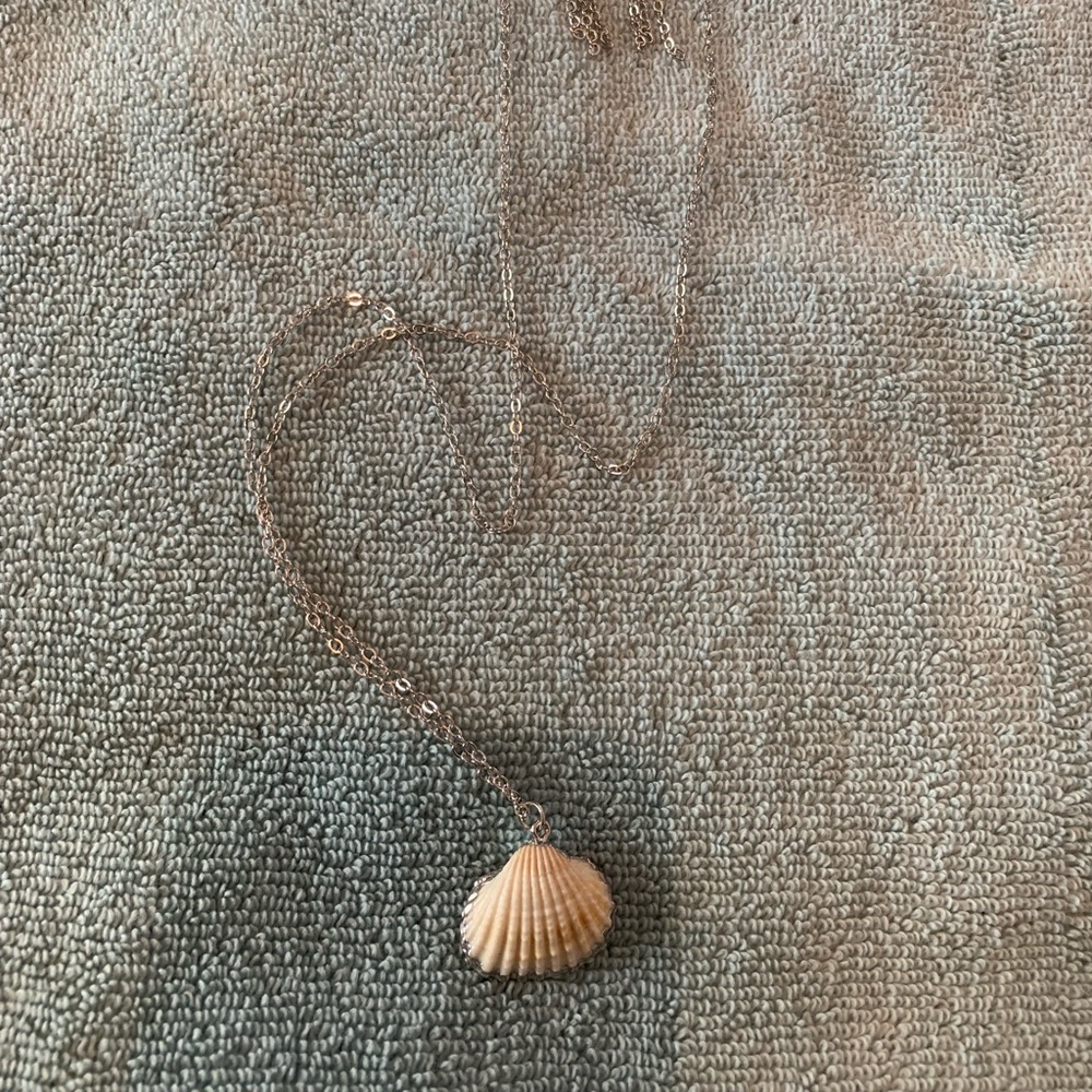 Beautiful Shell Necklace and earrings!